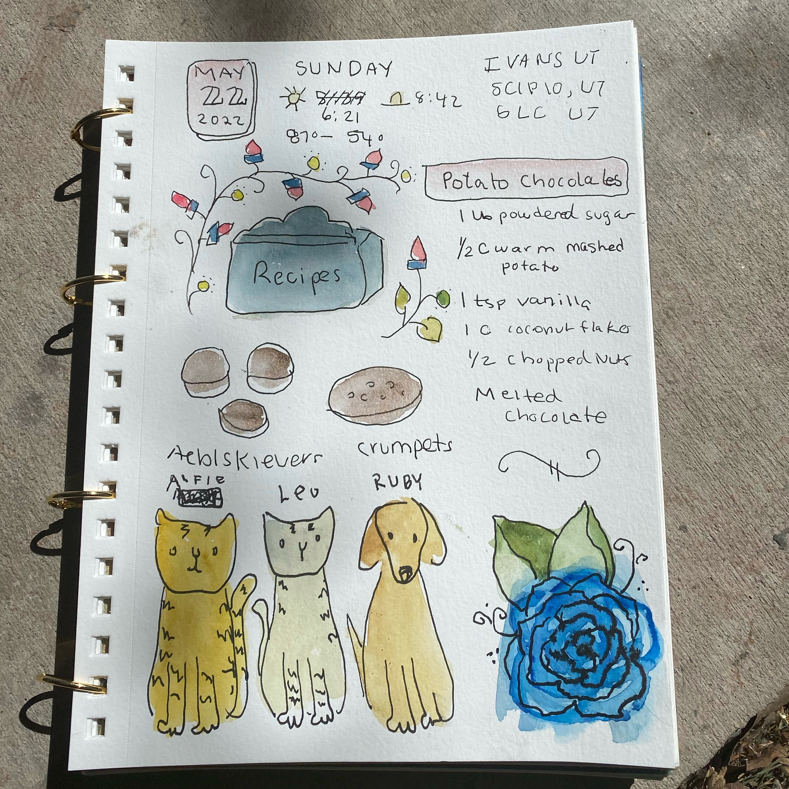 Journal May 22