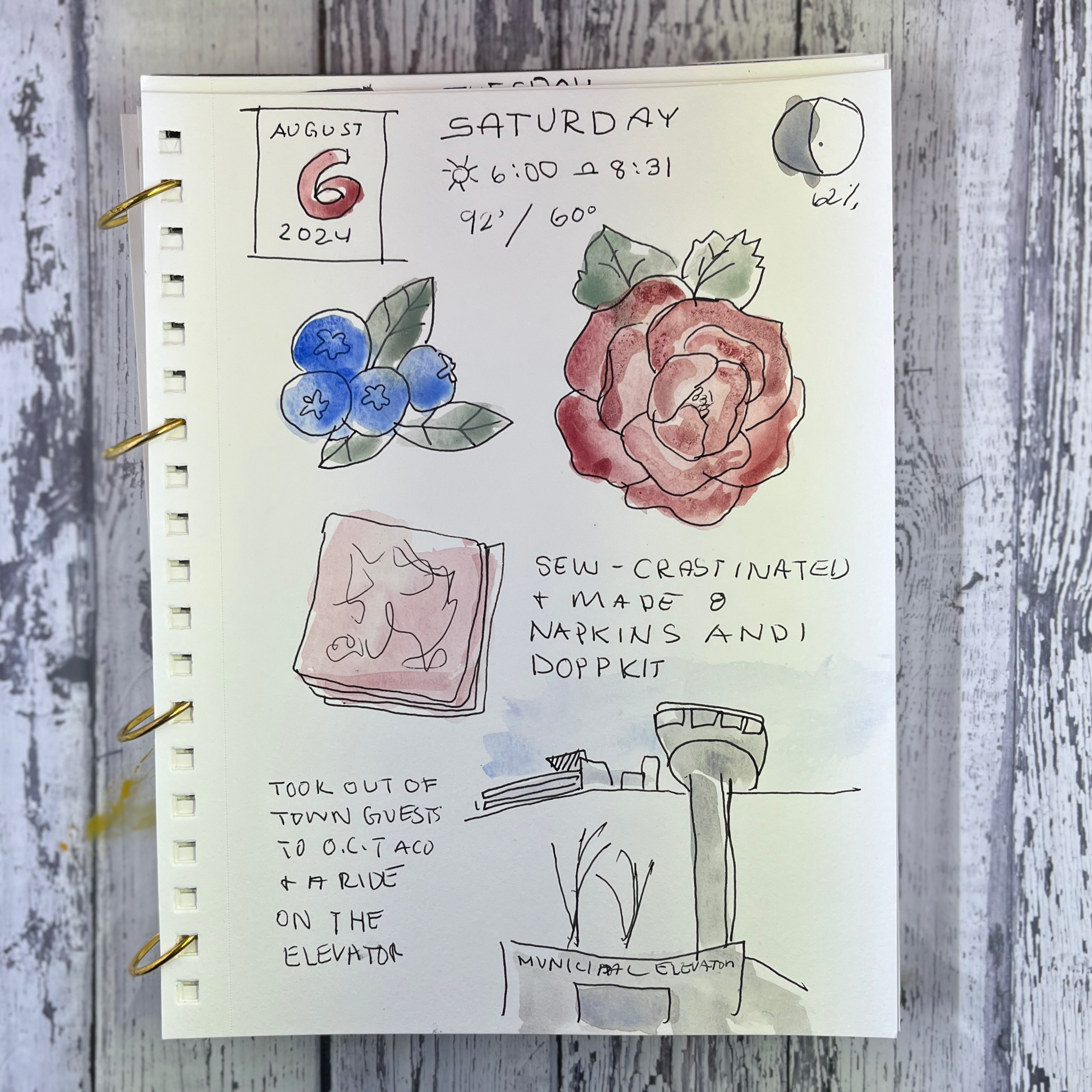 Journal August 6