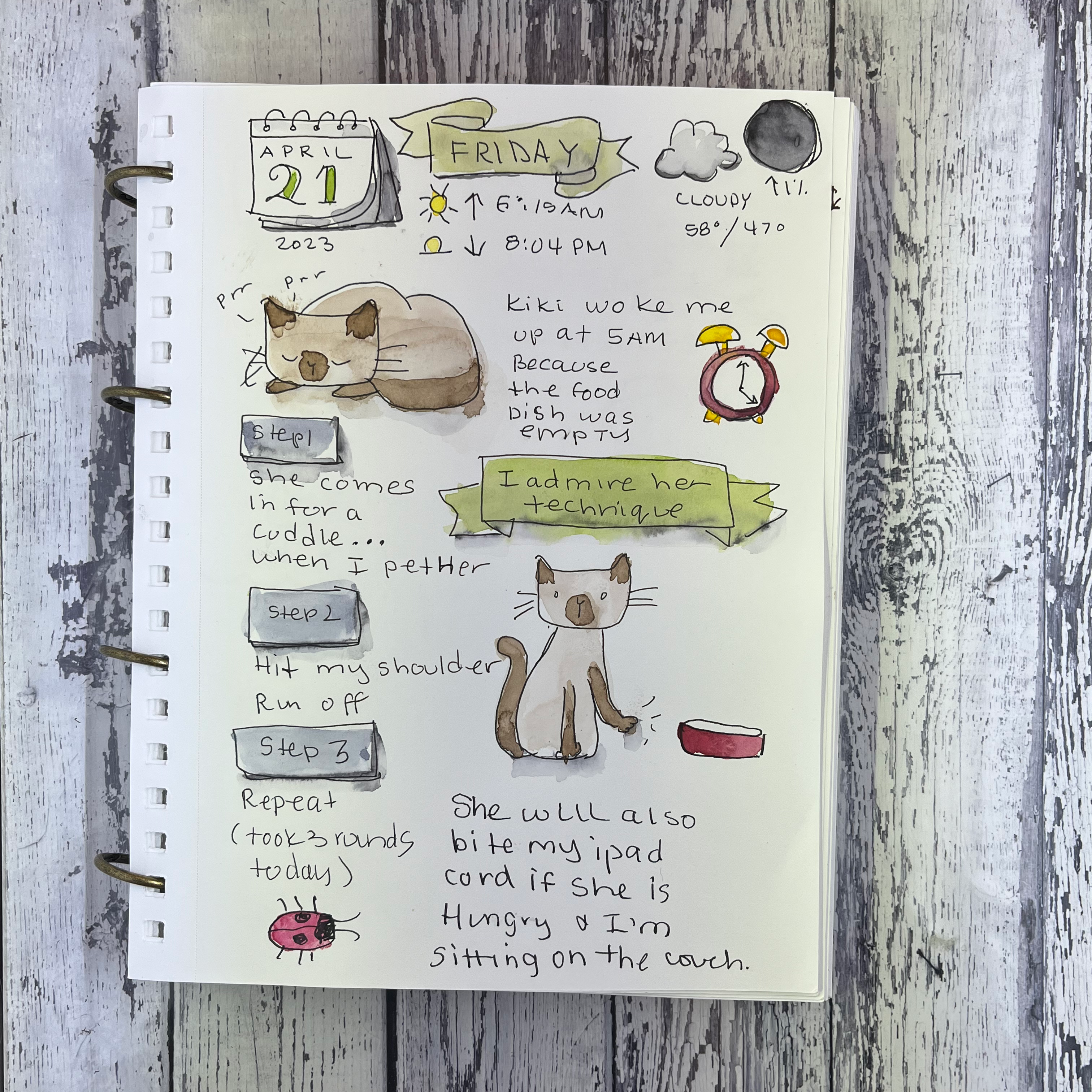 Journal April 21
