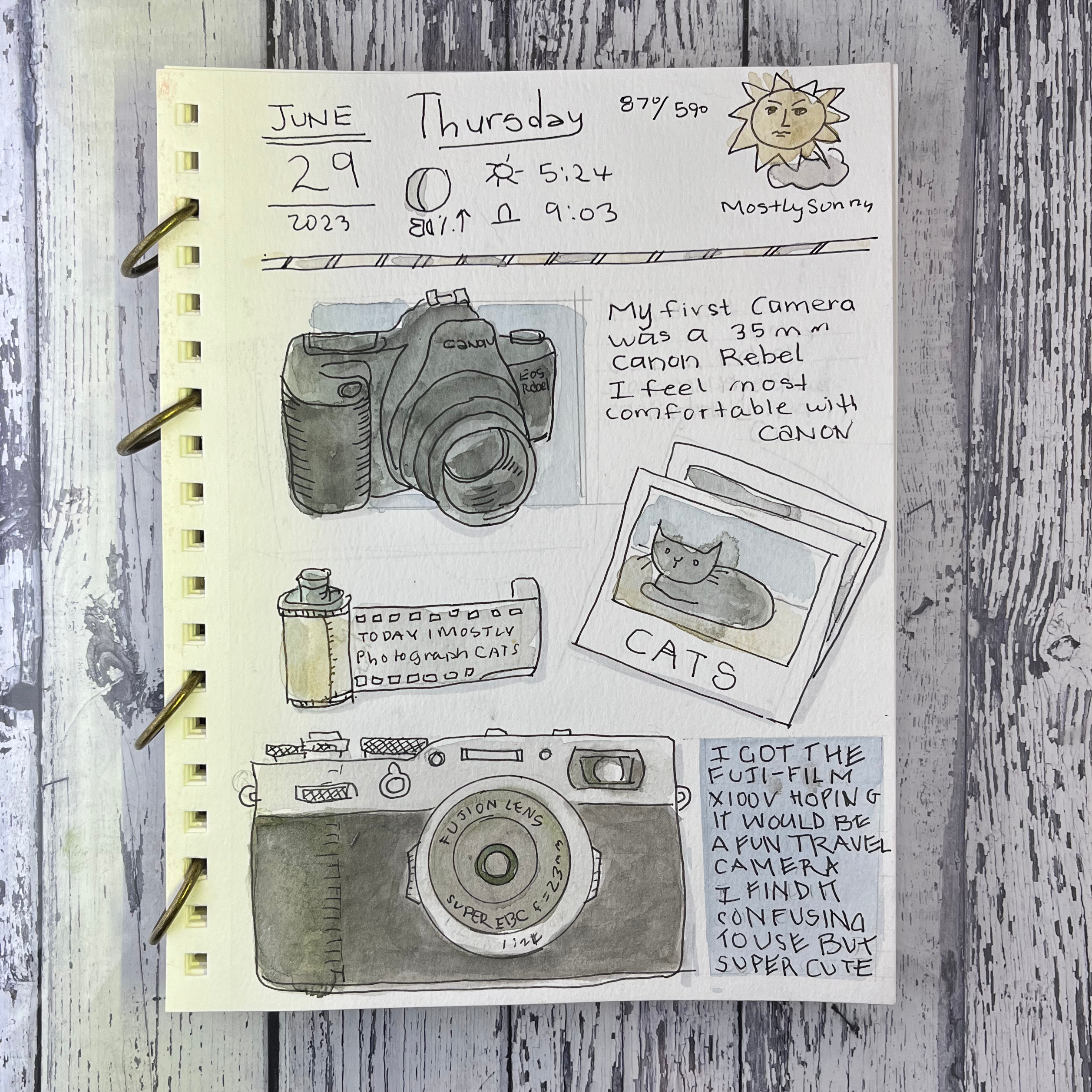Journal June 29