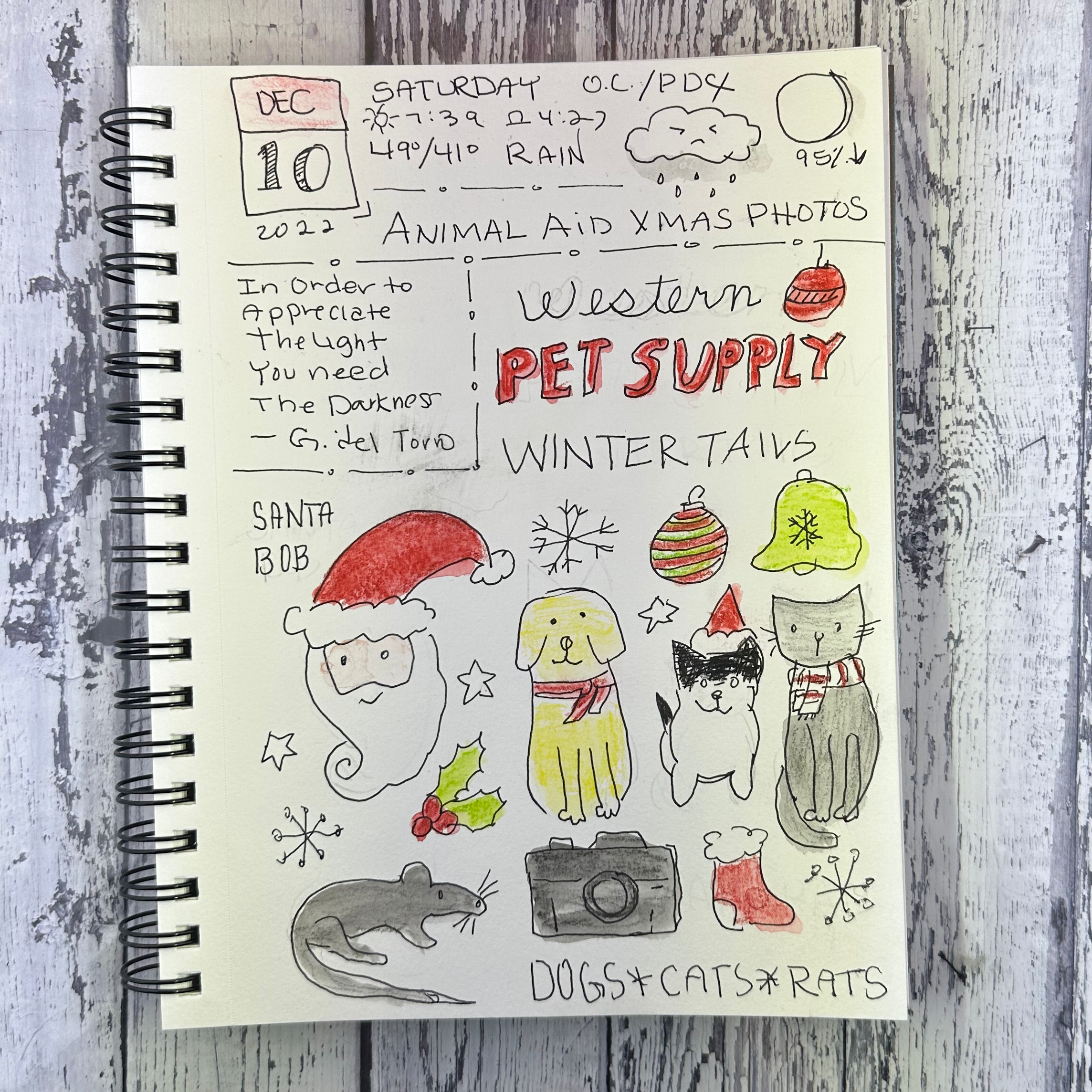 Journal December 10