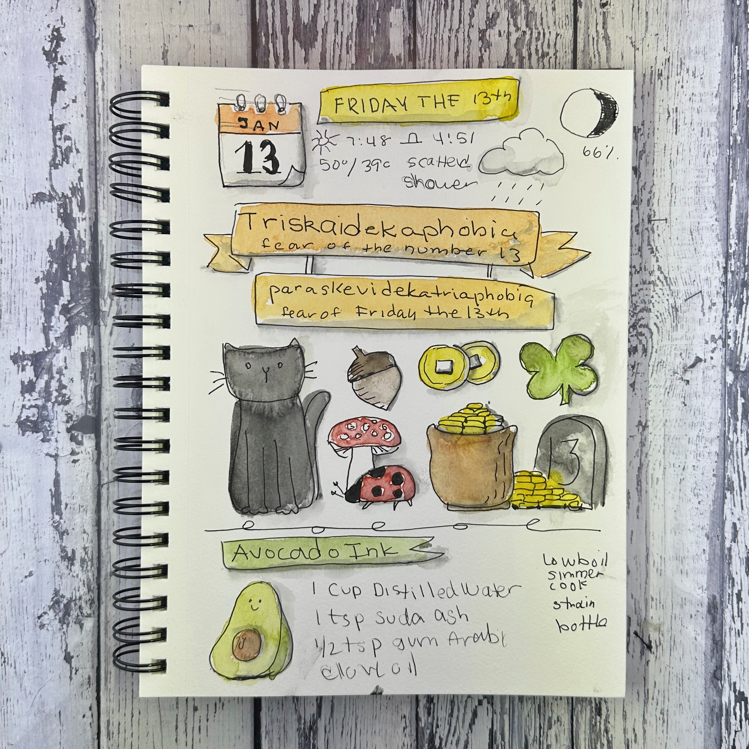 Journal January 13